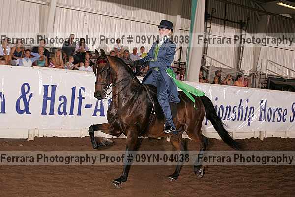 Proof 09yn-04038
