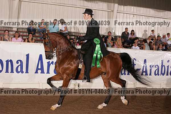 Proof 09yn-04039