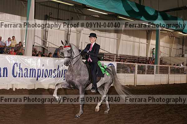Proof 09yn-04040
