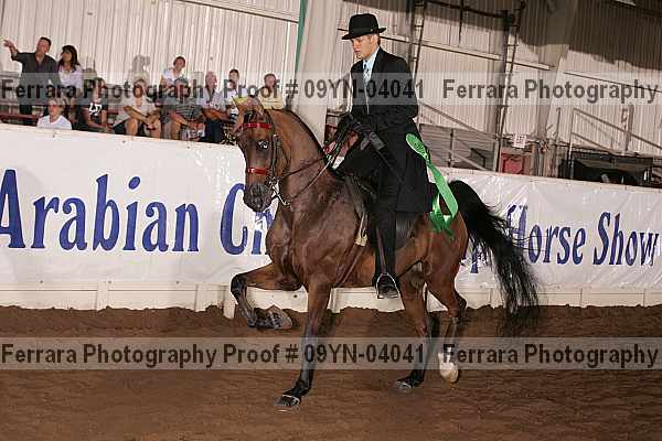 Proof 09yn-04041