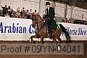 09yn-04041 proof