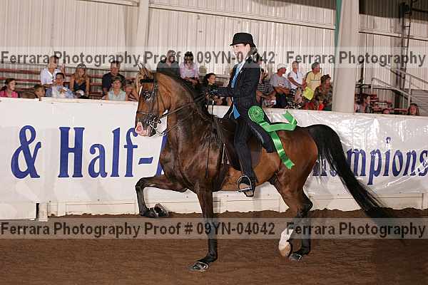 Proof 09yn-04042