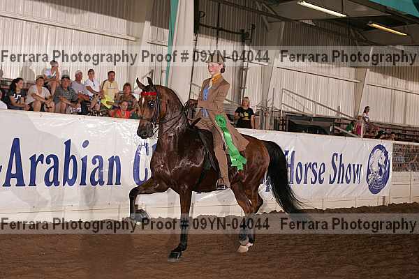 Proof 09yn-04044
