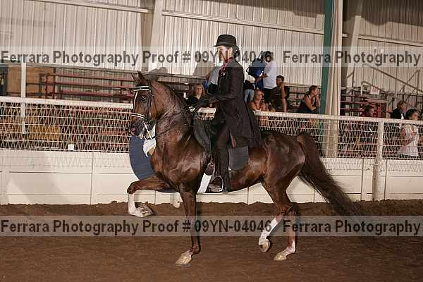 Proof 09yn-04046