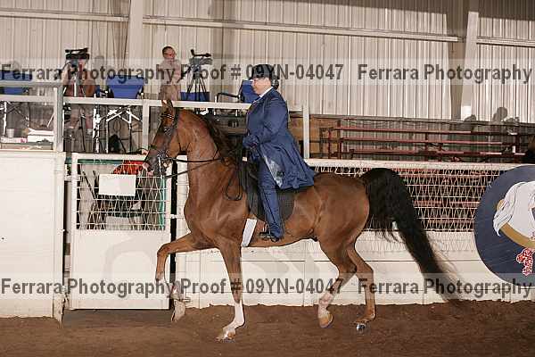 Proof 09yn-04047