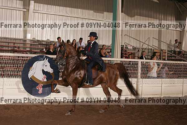 Proof 09yn-04048