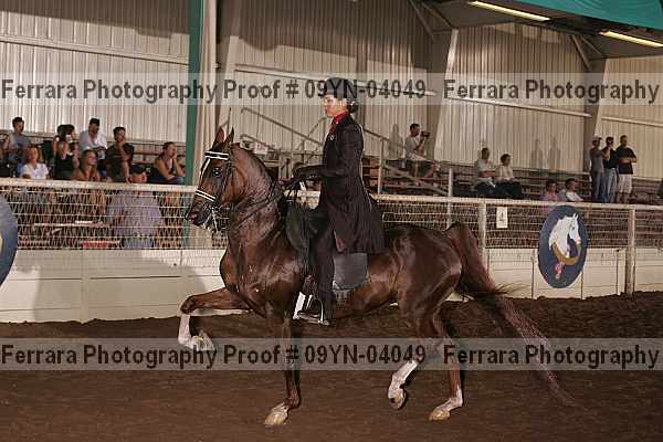 Proof 09yn-04049