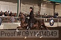 09yn-04049 proof