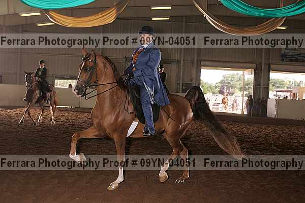 Proof 09yn-04051