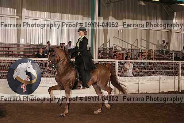 Proof 09yn-04052