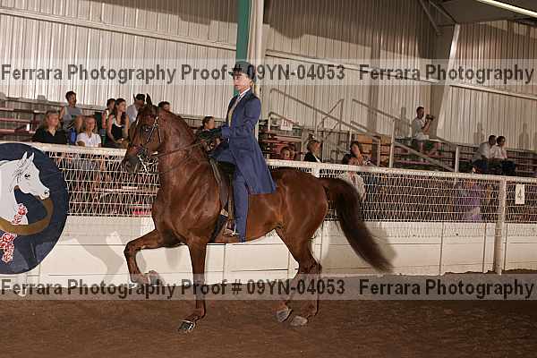 Proof 09yn-04053