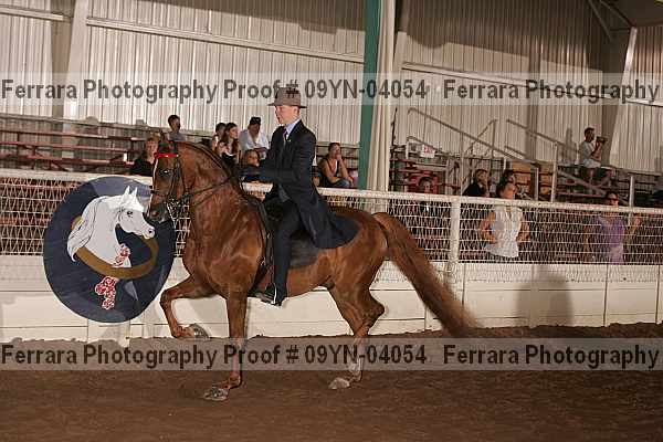 Proof 09yn-04054