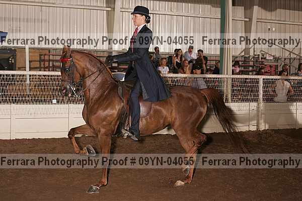 Proof 09yn-04055