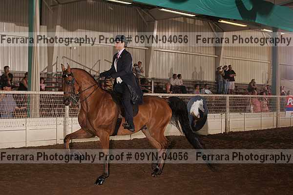 Proof 09yn-04056