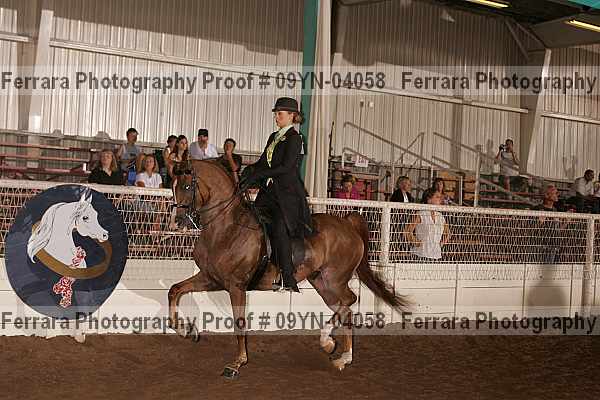Proof 09yn-04058