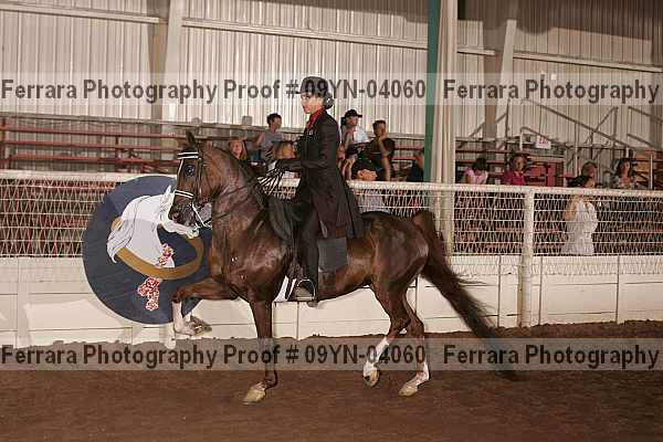 Proof 09yn-04060