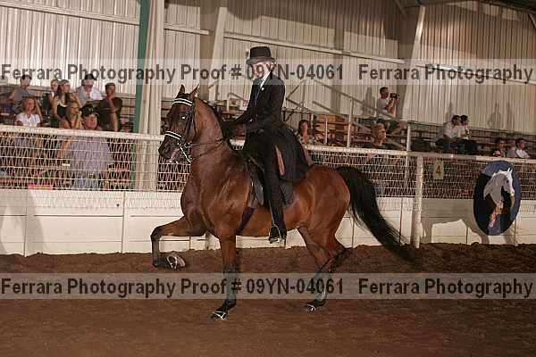 Proof 09yn-04061