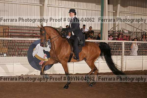 Proof 09yn-04062