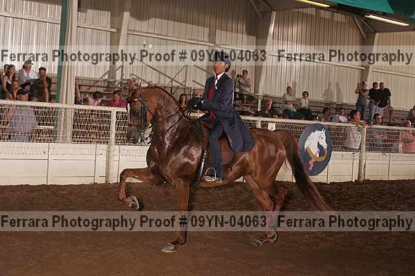 Proof 09yn-04063