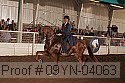 09yn-04063 proof