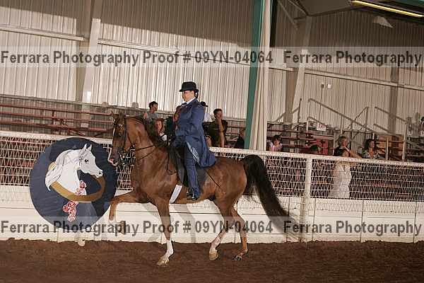 Proof 09yn-04064