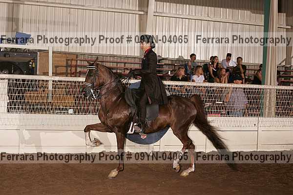 Proof 09yn-04065