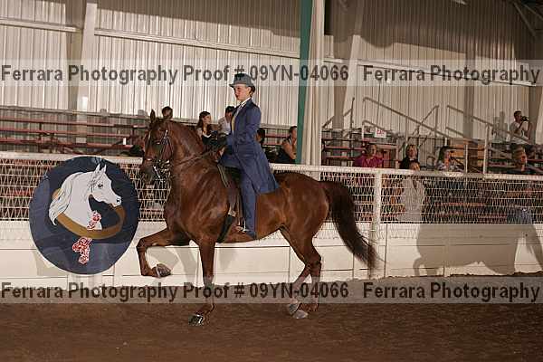 Proof 09yn-04066