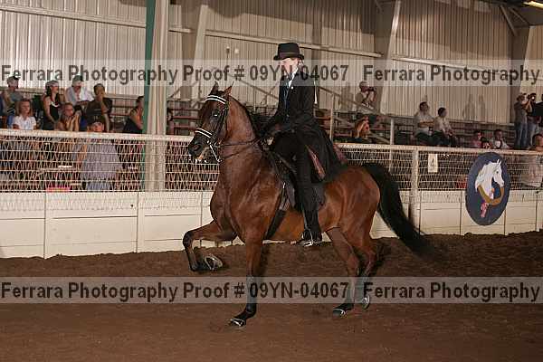Proof 09yn-04067
