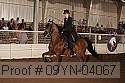 09yn-04067 proof
