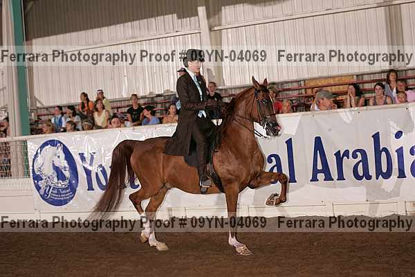 Proof 09yn-04069