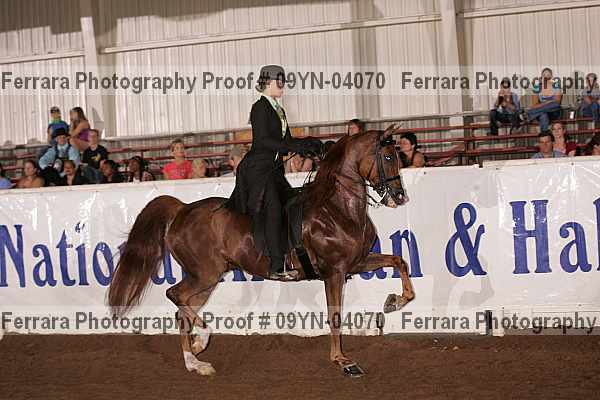 Proof 09yn-04070