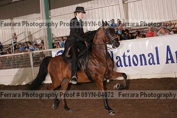 Proof 09yn-04072