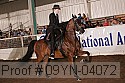 09yn-04072 proof