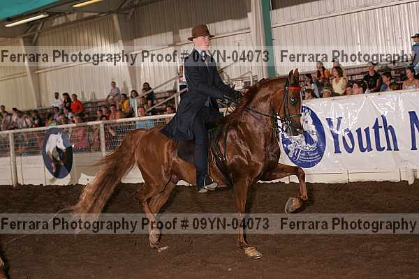 Proof 09yn-04073