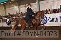 09yn-04073 proof