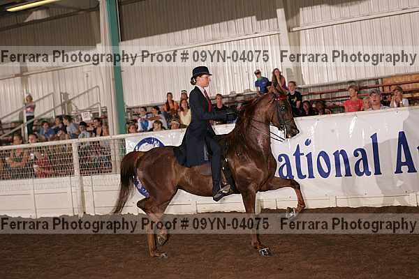 Proof 09yn-04075