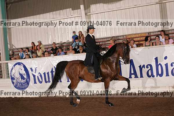 Proof 09yn-04076