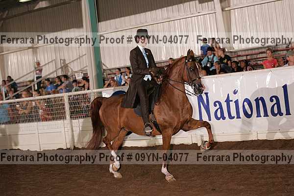 Proof 09yn-04077
