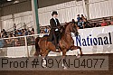 09yn-04077 proof