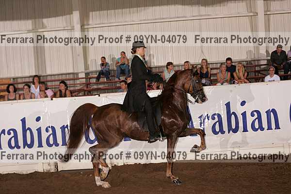 Proof 09yn-04079