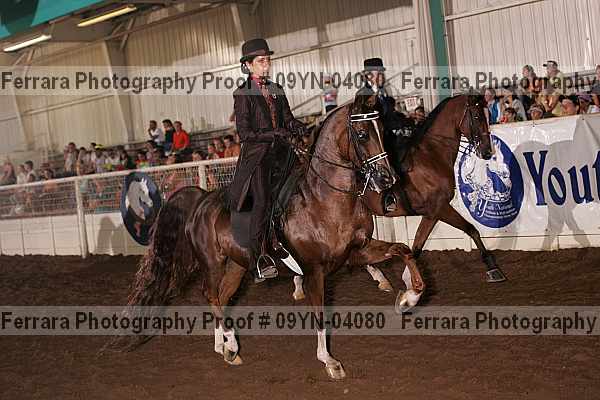 Proof 09yn-04080