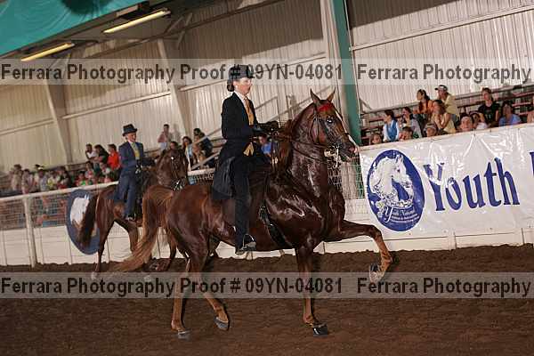 Proof 09yn-04081