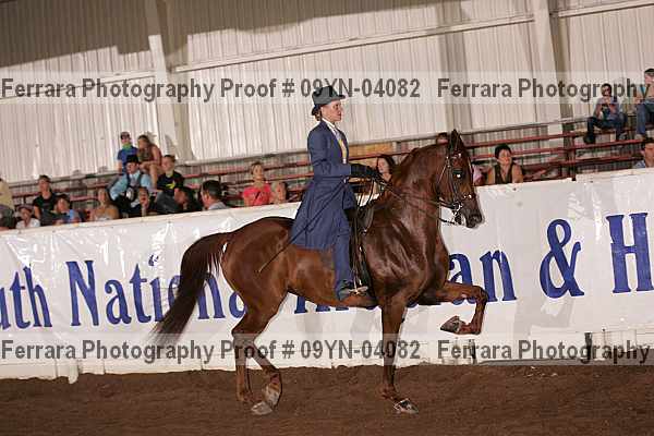 Proof 09yn-04082