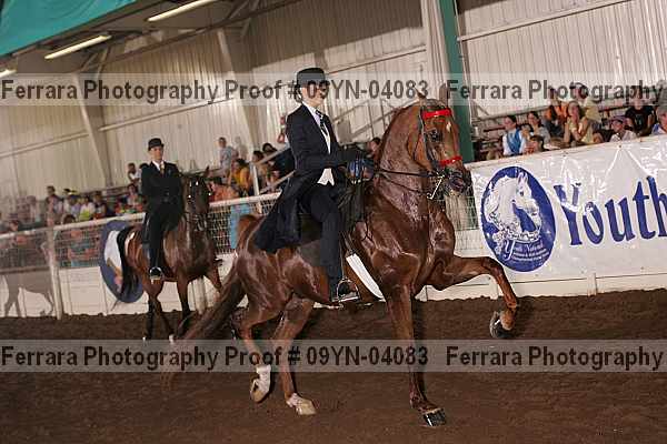 Proof 09yn-04083