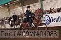 09yn-04083 proof