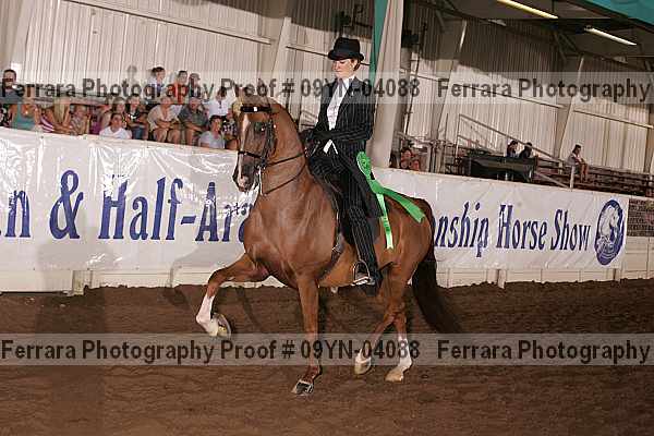Proof 09yn-04088