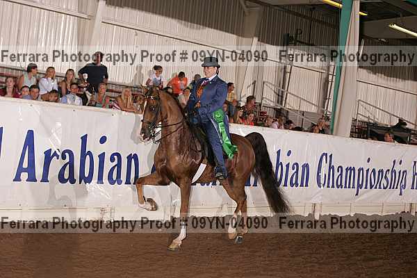 Proof 09yn-04090