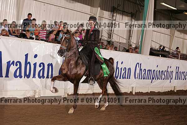 Proof 09yn-04091