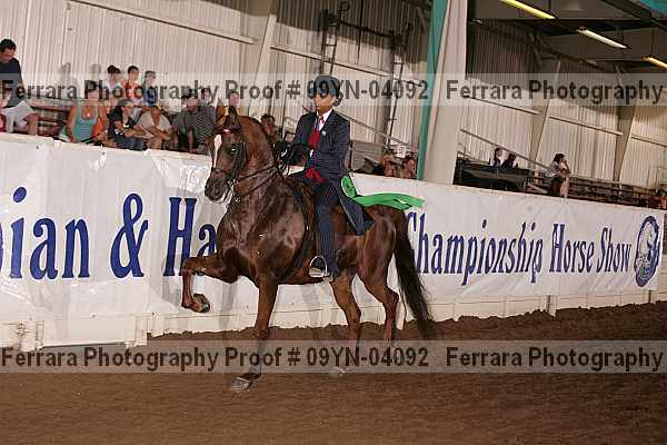 Proof 09yn-04092