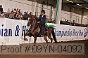 09yn-04092 proof